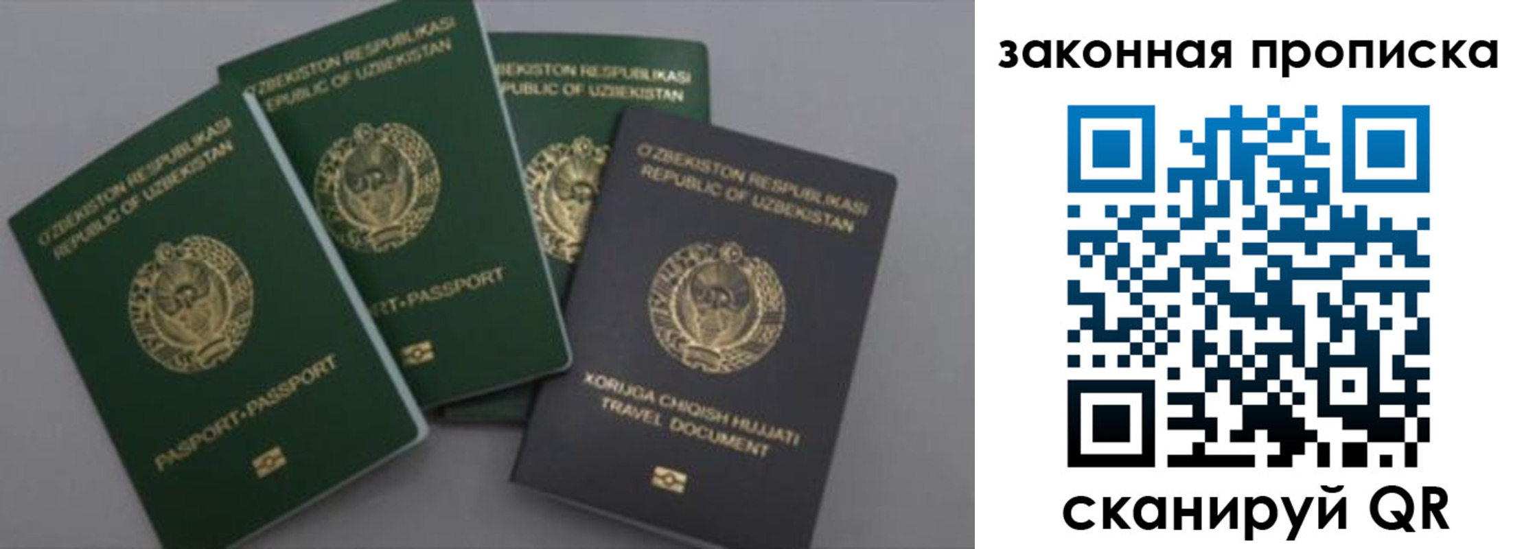 временная регистрация для школы в Мурманской области